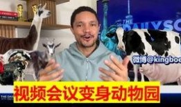 爆料美国动物园视频,揭秘动物真实生活状态